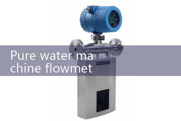 Pure water machine flowmeter